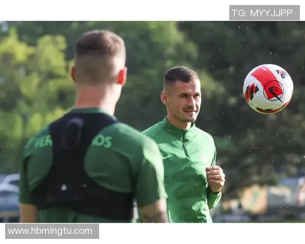 费伦茨瓦罗斯与佐加顿斯对决前瞻及战术分析探讨 费伦茨瓦罗斯与佐加顿斯对决前瞻及战术分析探讨